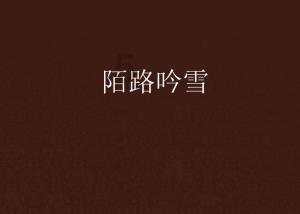 古怪巫师逃离村庄